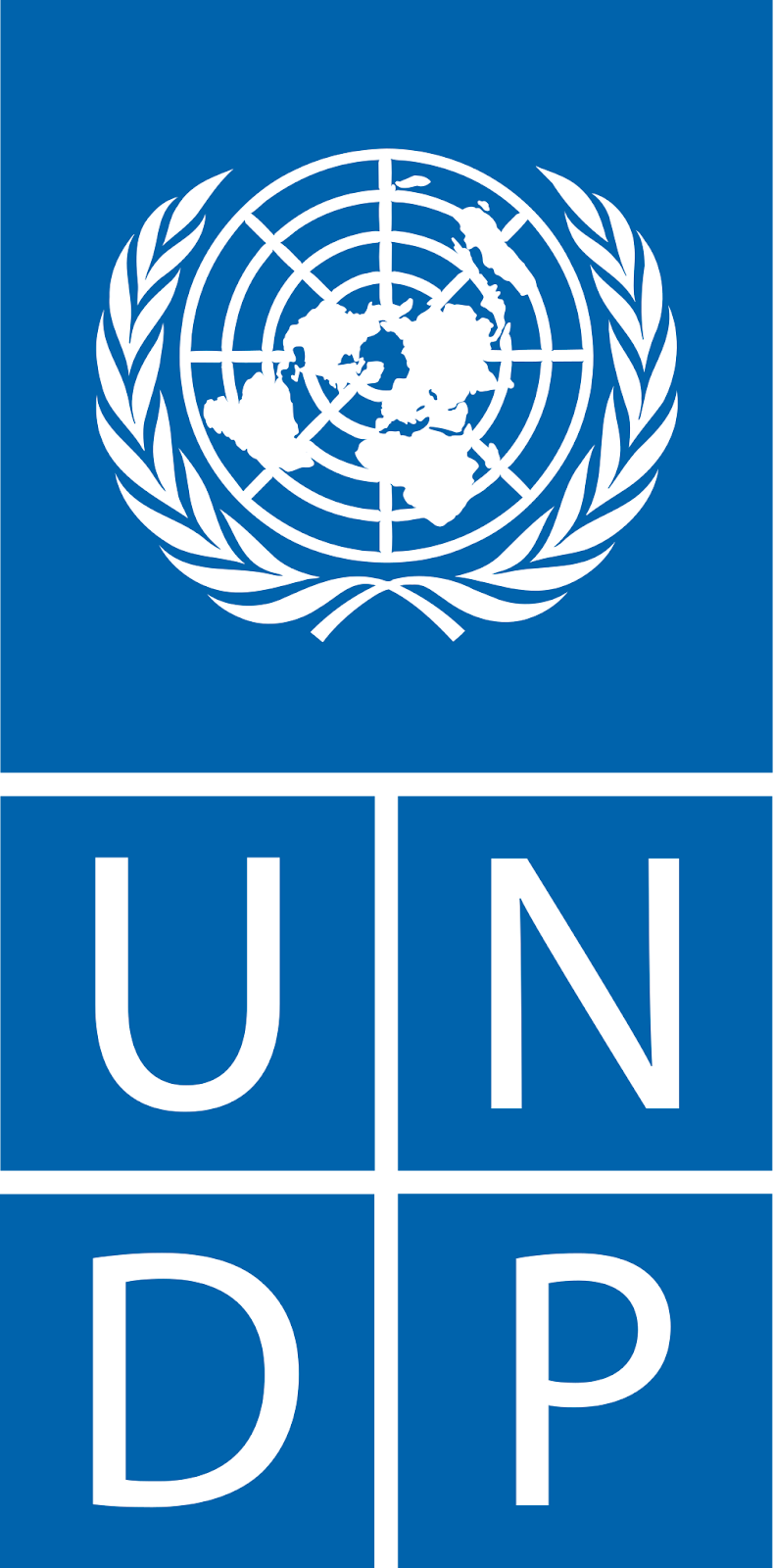 1.UNDP.png